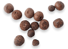 Hyaluronan (Mobilee®)